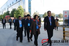市人大常委會領導蒞臨寶潤達視察工業(yè)轉型工作