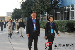 市人大常委會領導蒞臨寶潤達新型材料視察工業(yè)轉型工作